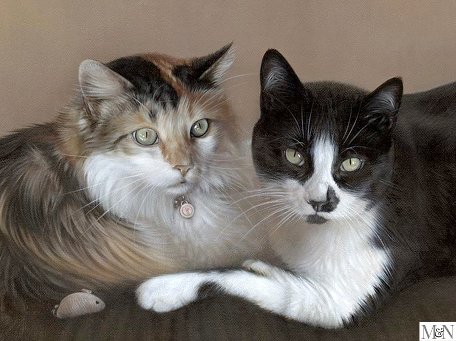 Cat Pet Portraits in oils on canvas.