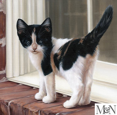 Cat Pet Portraits in oils on linen canvas.