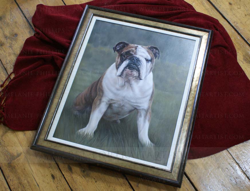 Bulldog Pet Portraits Framed