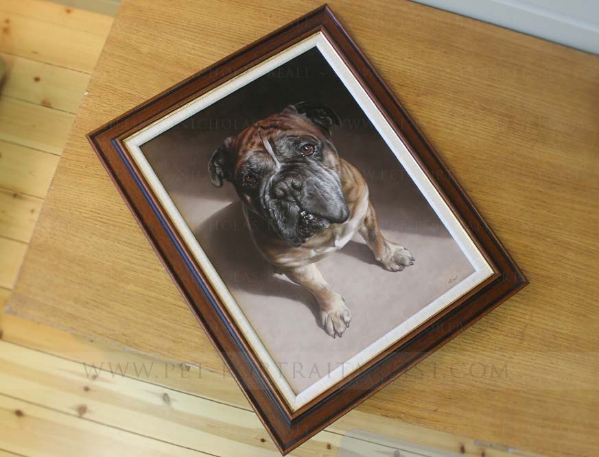 dog pet portraits framed