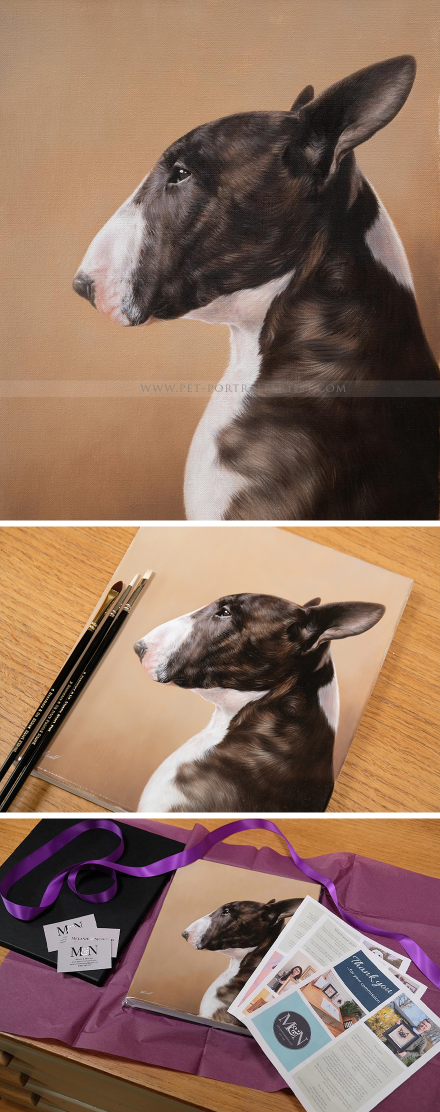 Latest Pet Portraits