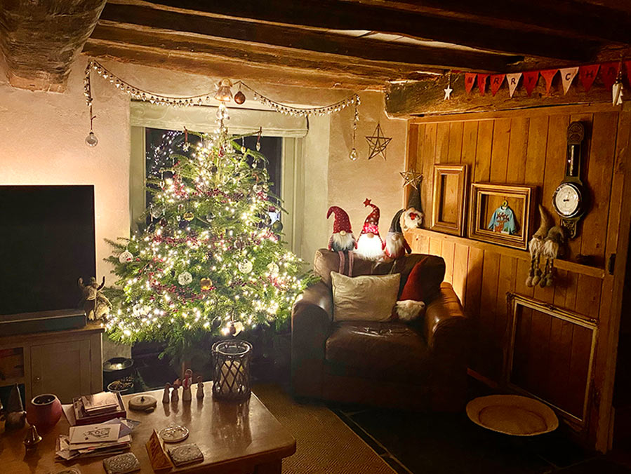 christmas in the cottage