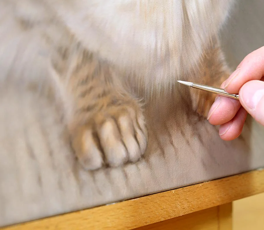 Framed oil painting of Tia the cat, showing the intricate brushwork.