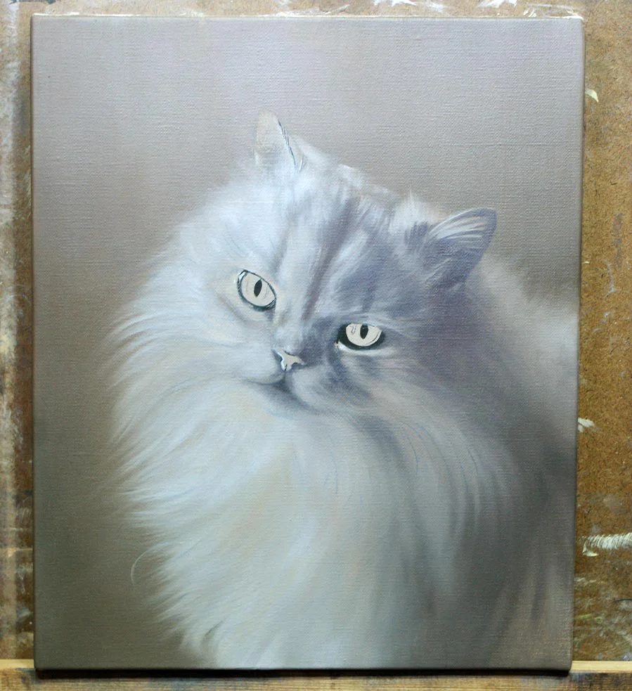 Cat oil portrait of Samson in progress, showing the initial sketching and underpainting stage.