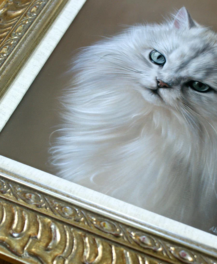 Samson’s beautifully framed cat oil portrait, ready for display.