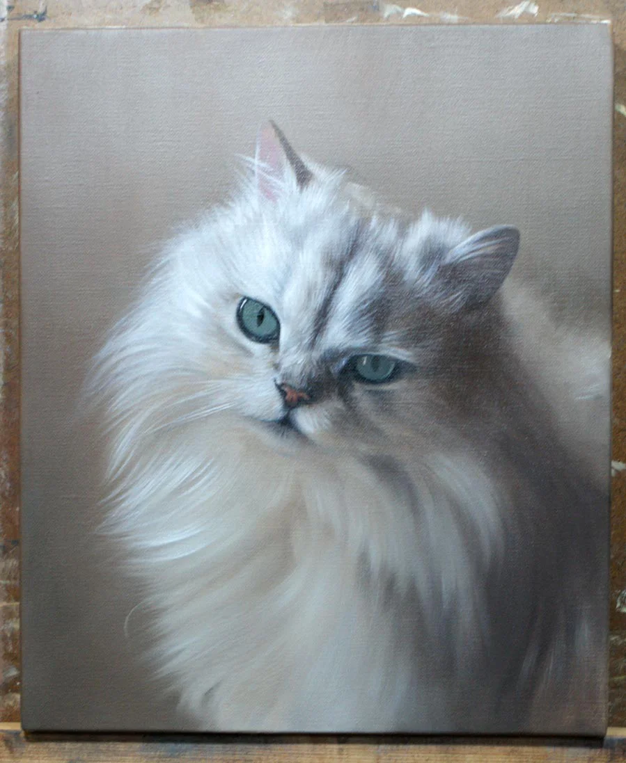 Samson’s cat oil portrait in a more advanced painting stage, showing added color and form.