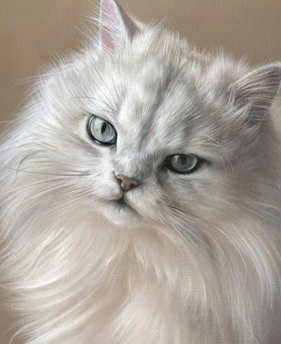 Samson’s finished cat oil painting displayed on an easel in the artist's studio.