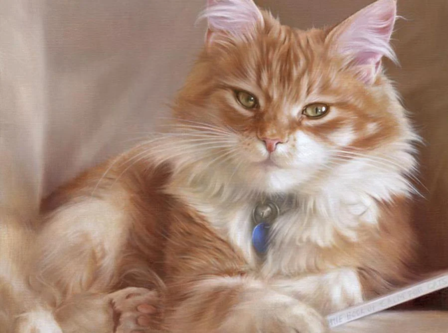 Realistic oil painting of Dudley the cat by Nicholas Beall