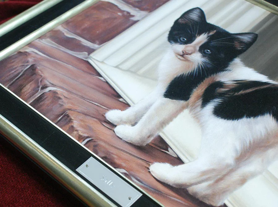 Framed Kitten Portrait in Oils Framed kitten portrait of Sally in oils.