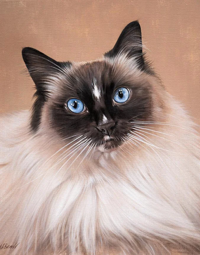 Custom oil portrait of Saffie the cat by Nicholas Beall