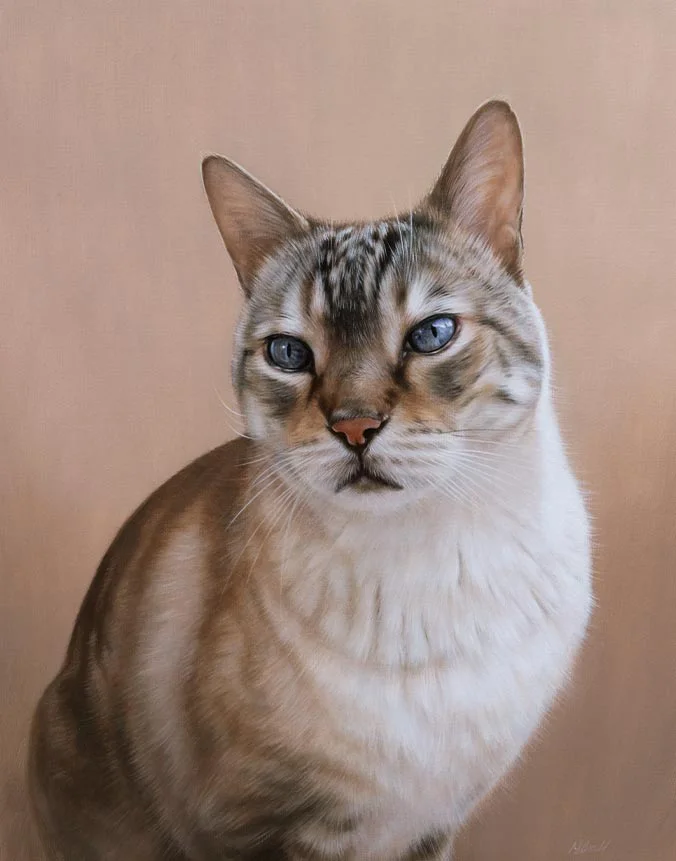 Bespoke oil painting of Bailey the cat by Nicholas Beall