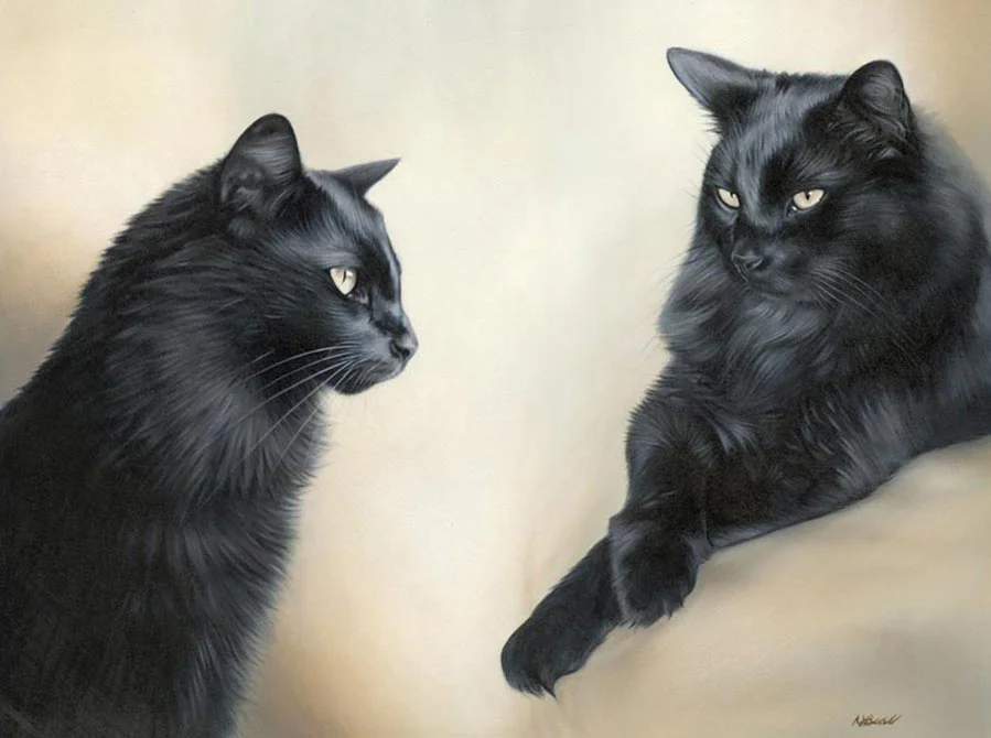 Sammy the cat in a traditional oil portrait by Nicholas Beall, looking alert and playful.