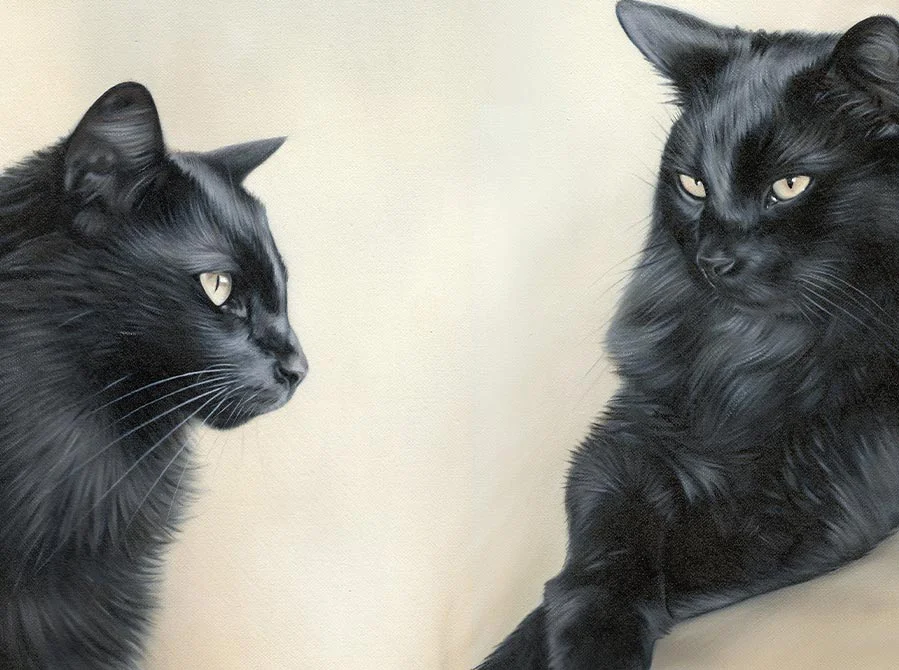 Detail of Sammy - Cat Oil Painting in Progress, lifelike fur Detail of Sammy in the cat oil painting in progress, highlighting realistic texture