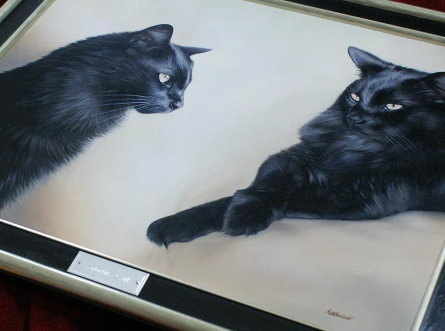 Framed Two Cat Portrait, elegant presentation Beautifully framed two cat portrait of Sammy, ready for display