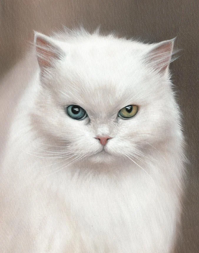 Hand-painted oil portrait of Sophie the white cat on canvas by Nicholas Beall