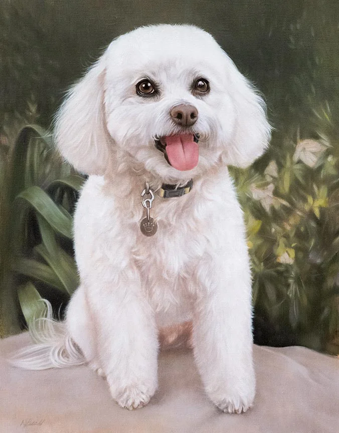 Oil portrait of Lulu, a fluffy white Bichon Frise with bright eyes sitting in a subtle garden background.
