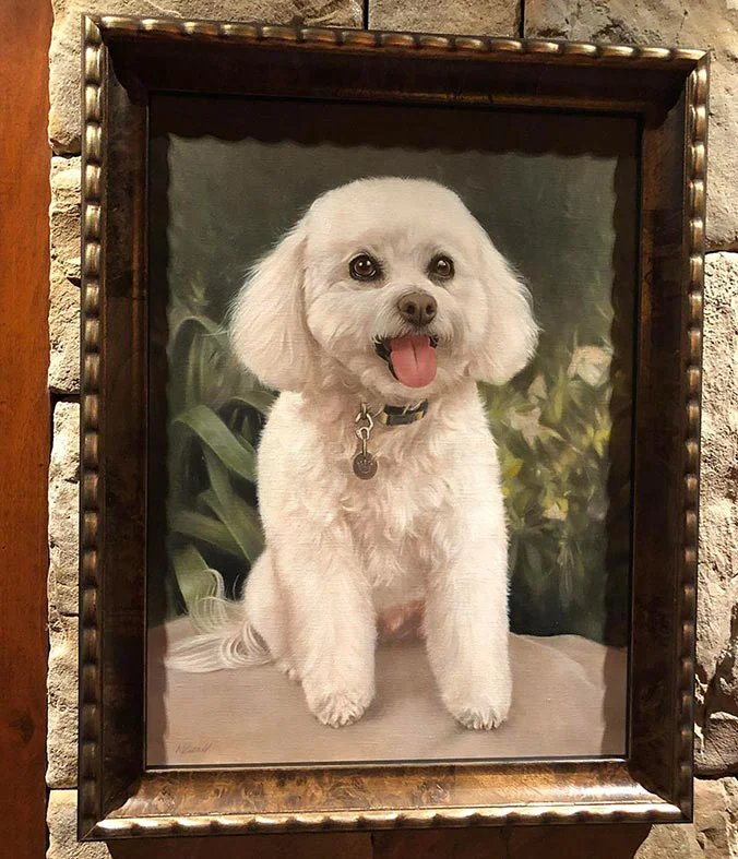 Beautifully framed Bichon Frise oil portrait displayed in an elegant gold frame.