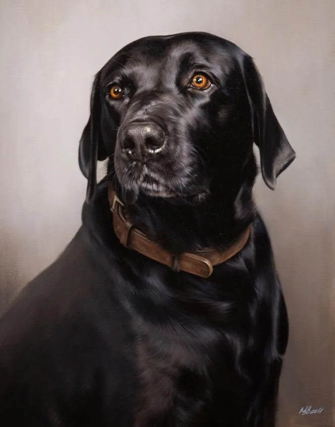 Oil portrait of Bryher, a sleek black Labrador with bright, intelligent eyes and a gentle expression.