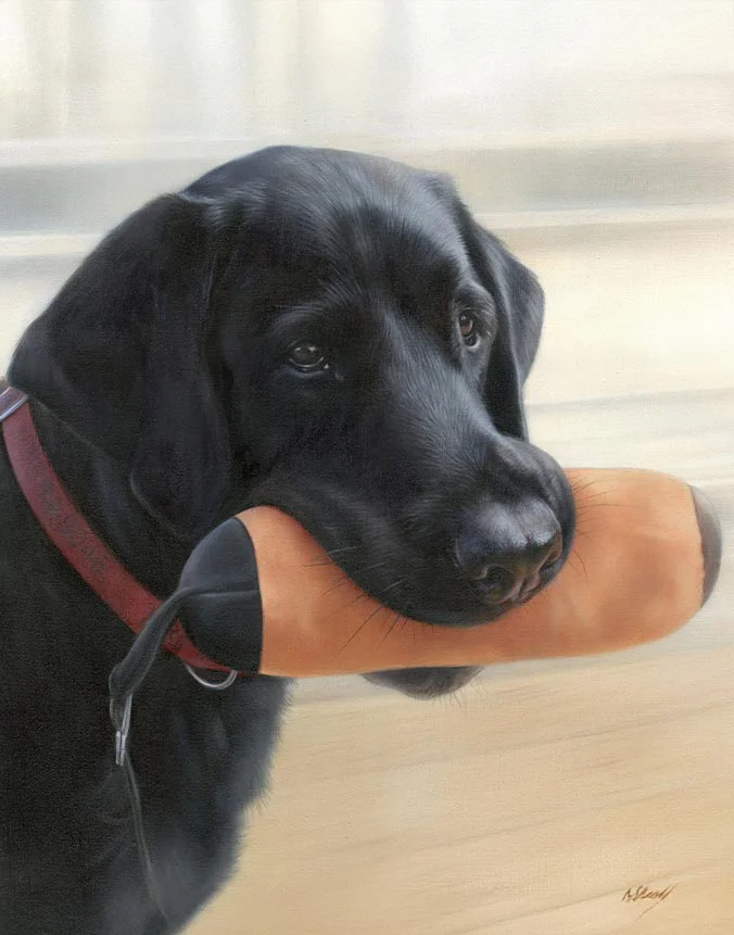 Oil portrait of Sammy, a black Labrador, sitting outdoors with his favorite retrieve toy near a boat, painted by Nicholas Beall.