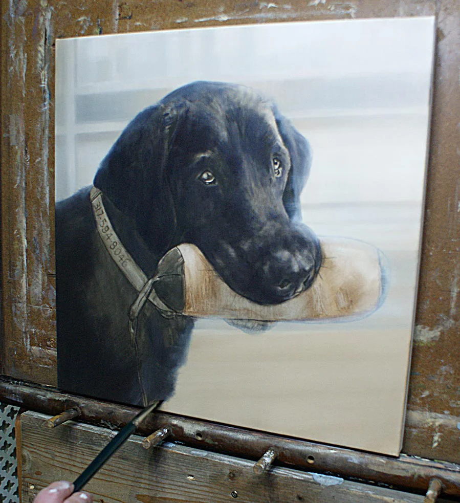 Oil painting of Sammy the Black Labrador in progress, showing the initial stages on canvas.