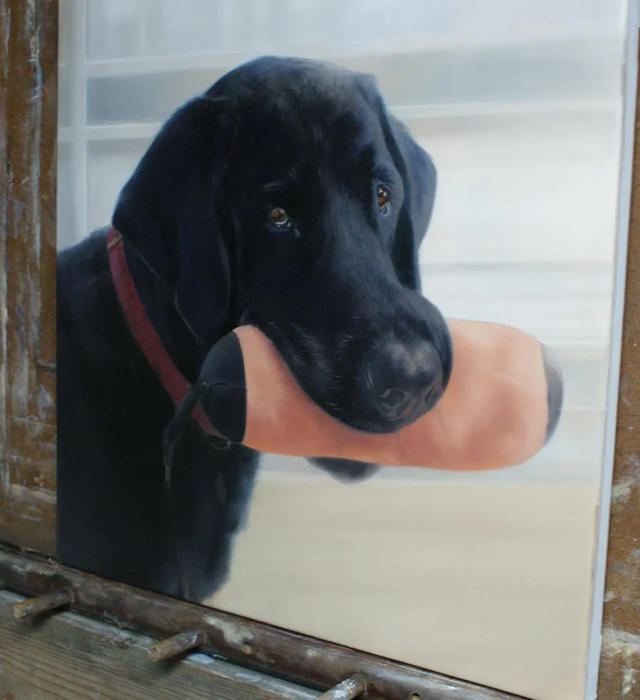 Close-up detail of Sammy's Black Labrador oil portrait during the painting process, showing brushwork.