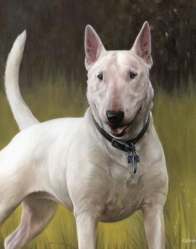 Oil portrait of Millie, a white Bull Terrier with expressive eyes, sitting in green grass.