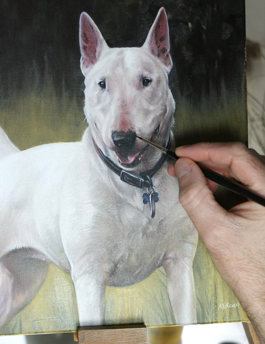 Bull Terrier oil portrait in progress, showing the artist's work on the canvas.
