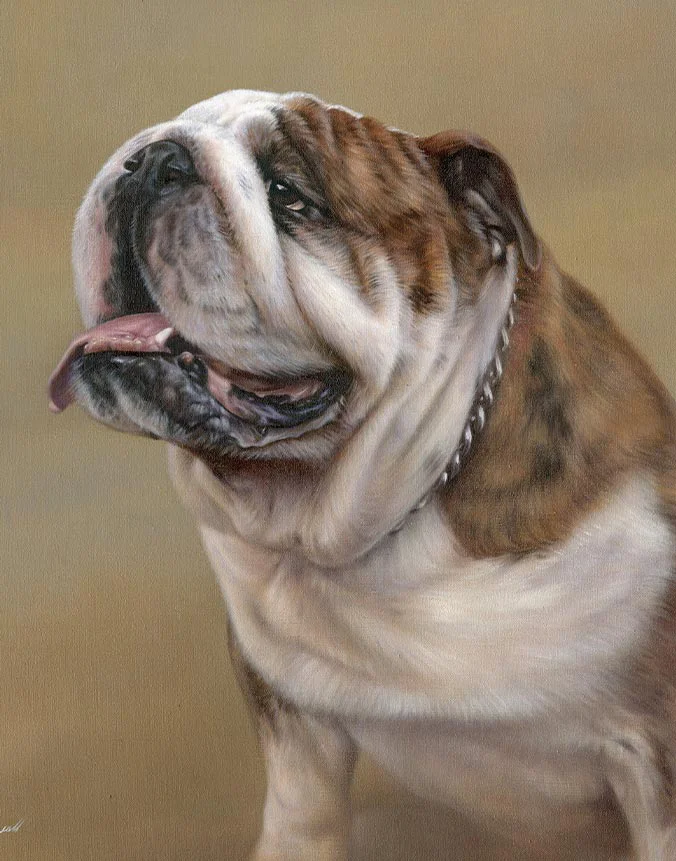 Oil portrait of Remington, a brindle and white English Bulldog with a gentle expression.