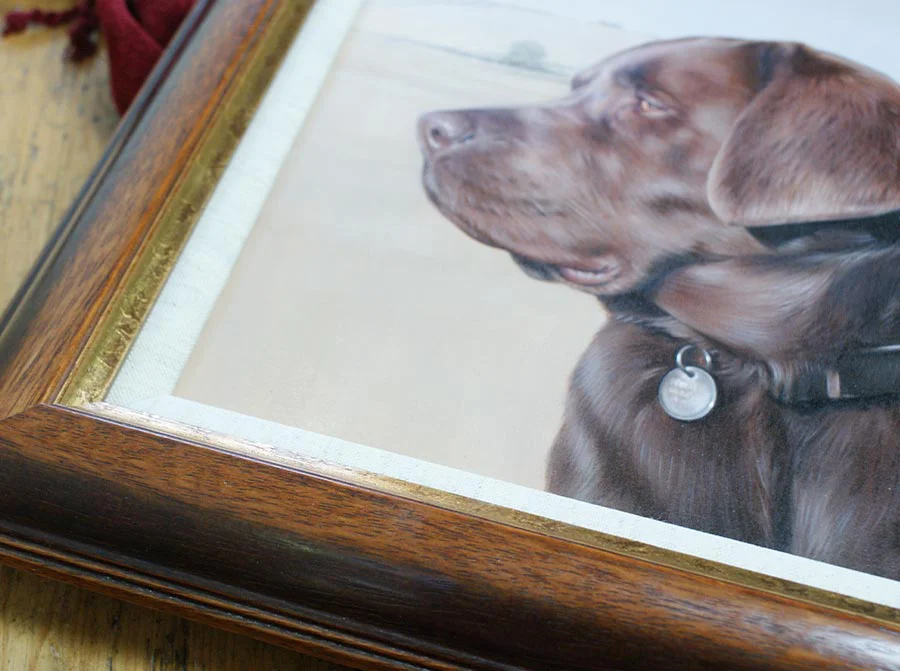 Chocolate Labrador portrait hung in client's home, showing its display on a wall.
