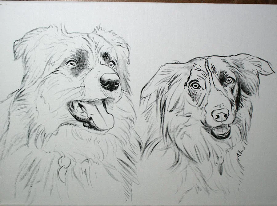 Border Collie dog portrait of Sam and Scooby, showing initial layers of paint.