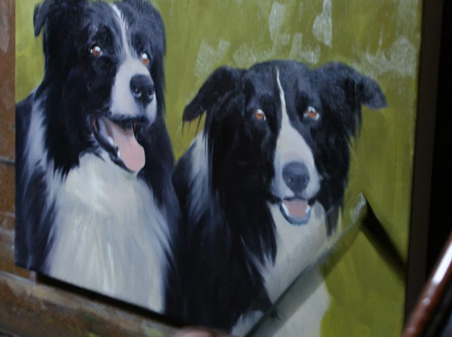 Collie oil portrait, showing an early stage of development on the canvas.