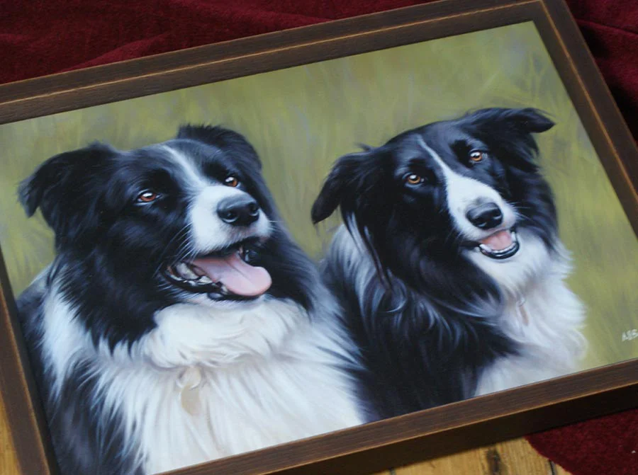 Framed Border Collie dog portrait of Sam and Scooby, displayed on an easel.