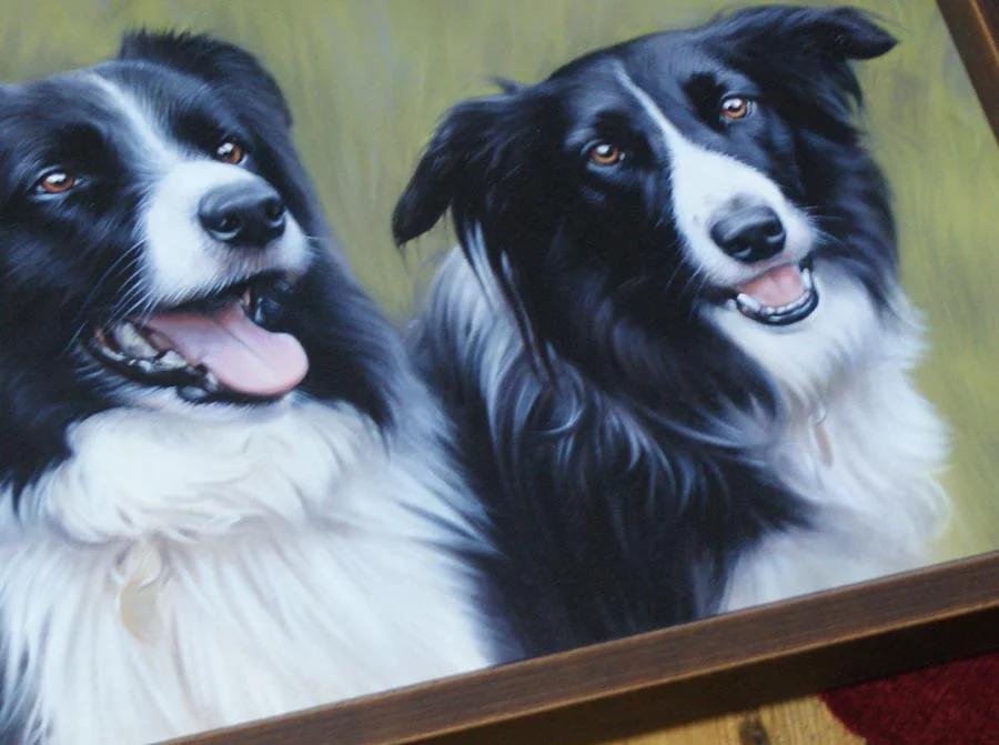 Collie oil painting displayed in its frame, showcasing the finished artwork.