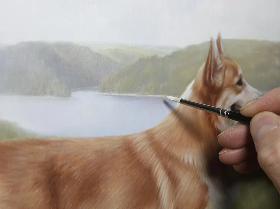 Corgi portrait detail of Luke's face and fur, showing fine textures.