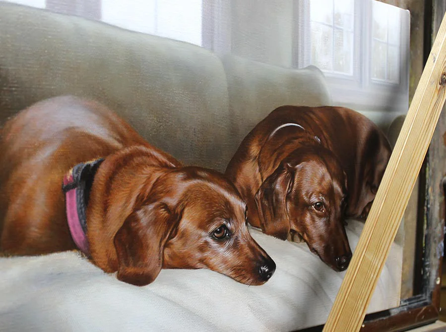 Reference photo for the two Dachshund portrait, showing a work in progress mock-up.