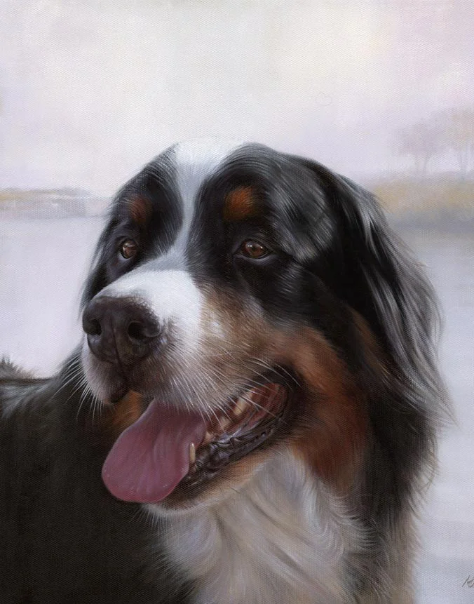 Oil painting of Yogi, a Bernese Mountain Dog, by Nicholas Beall