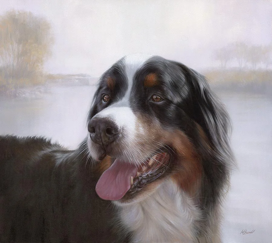 Bernese Mountain Dog portrait of Yogi in oils Bernese Mountain Dog Portrait.