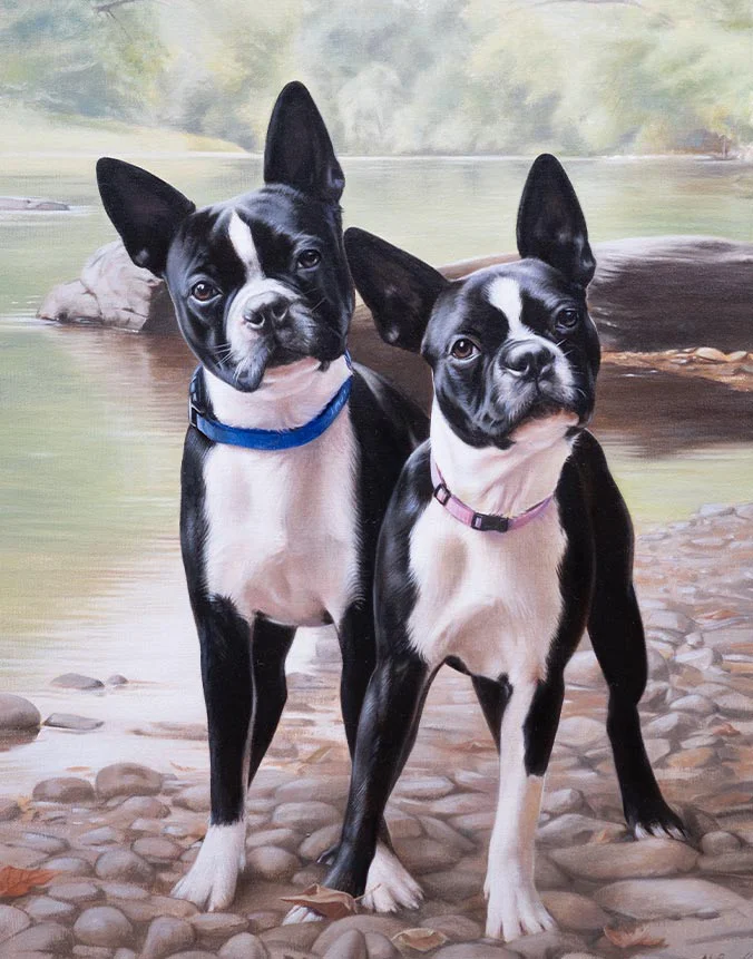 Oil portrait of Boston Terriers Hudson and Hannah by Nicholas Beall