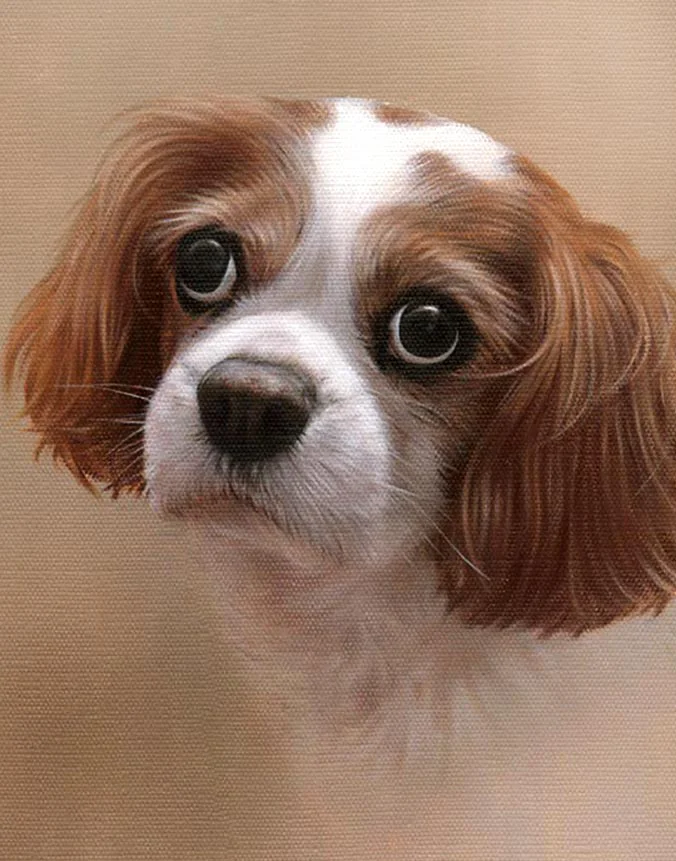 Oil portrait of Lucky the dog, a custom painting by Nicholas Beall