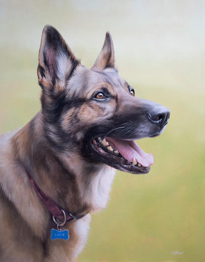 Oil painting of Lucie, a German Shepherd dog, by Nicholas Beall