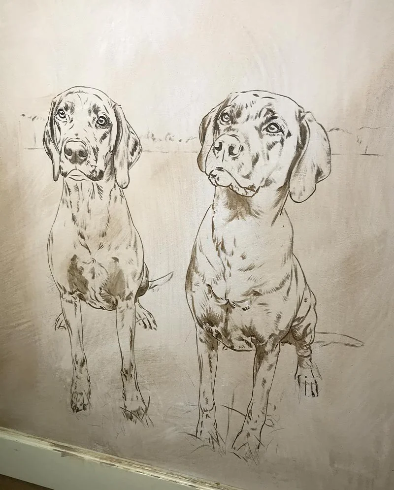 Rhodesian Ridgeback Portrait in Progress, initial brushwork Work in progress of the Rhodesian Ridgeback portrait, showing early stages of painting