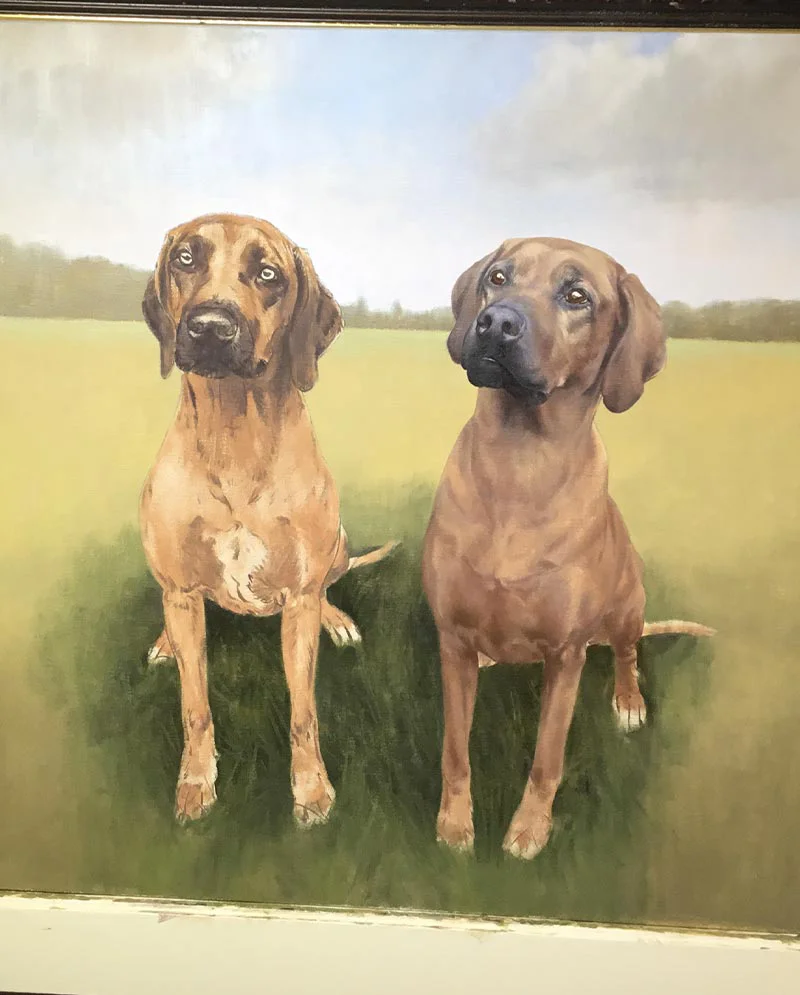Two Dogs in Progress – Rhodesian Ridgeback Portrait, mid-creation Two Rhodesian Ridgeback dogs in progress in an oil portrait, showing their poses
