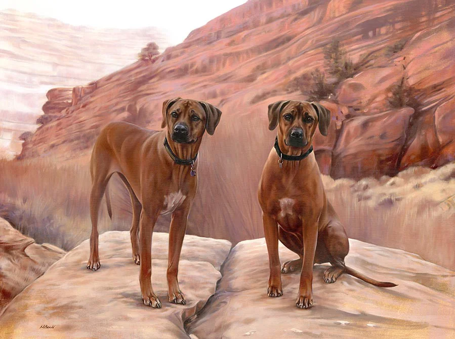 Oil painting of Manu and Haka, two majestic Rhodesian Ridgeback dogs, by Nicholas Beall.