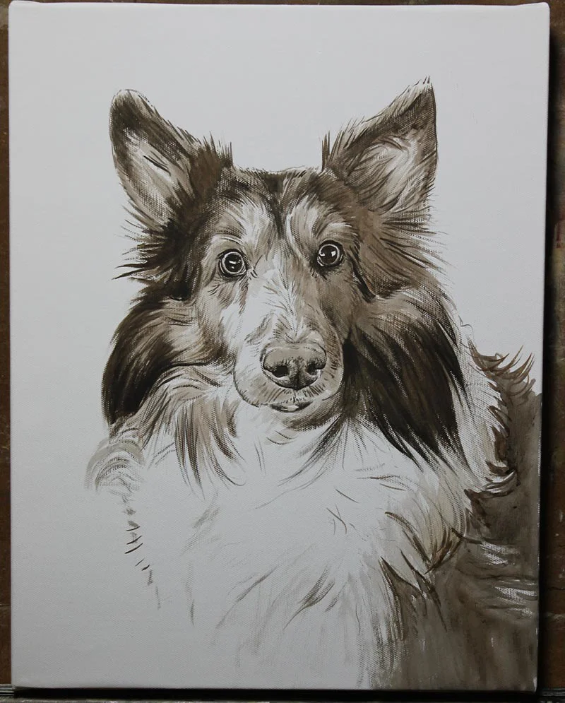 Sheltie Oil Portrait Work in Progress, early stages Work in progress of the Sheltie oil portrait, showing initial layers and form
