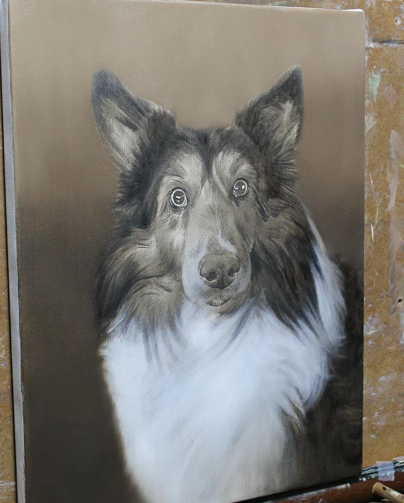 Detail of Sheltie Oil Portrait in Progress, capturing expression Close-up detail of the Sheltie oil portrait in progress, focusing on eye detail