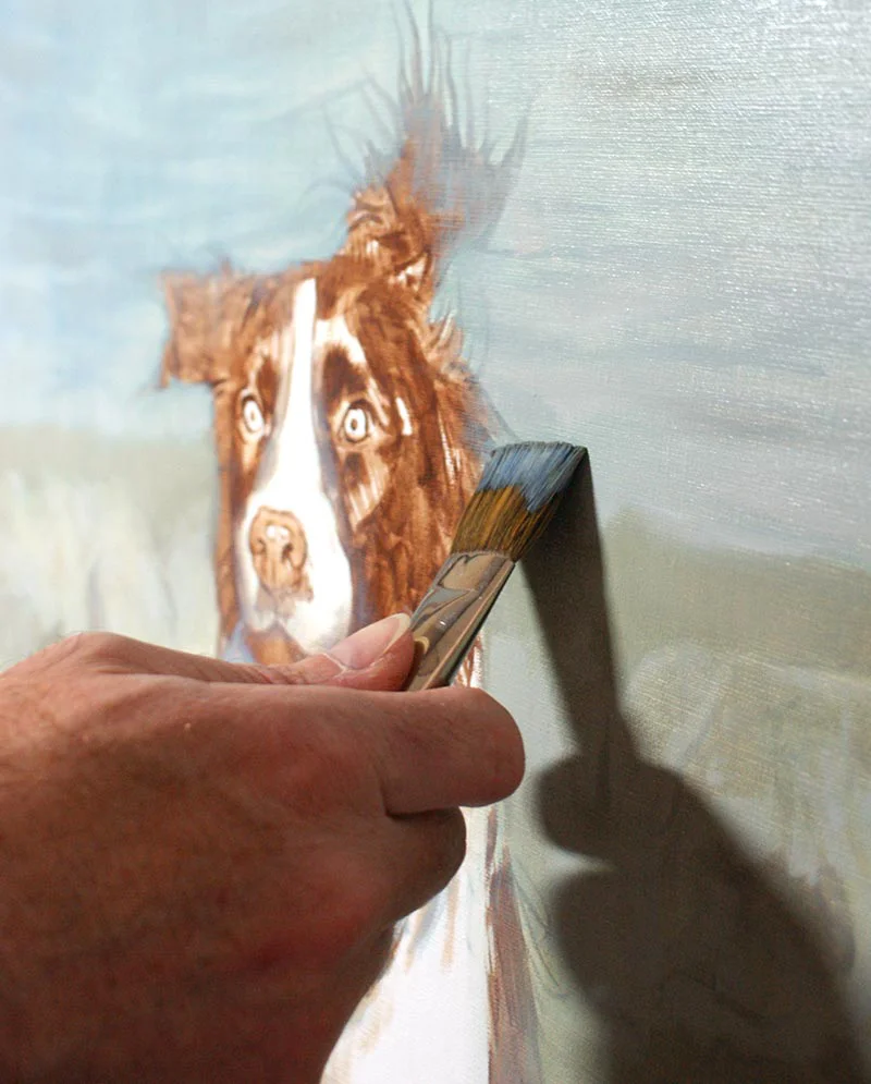 Spaniel Oil Painting – Progress on Fur and Background Spaniel oil painting of Banjo, showing progress on fur details and background elements.