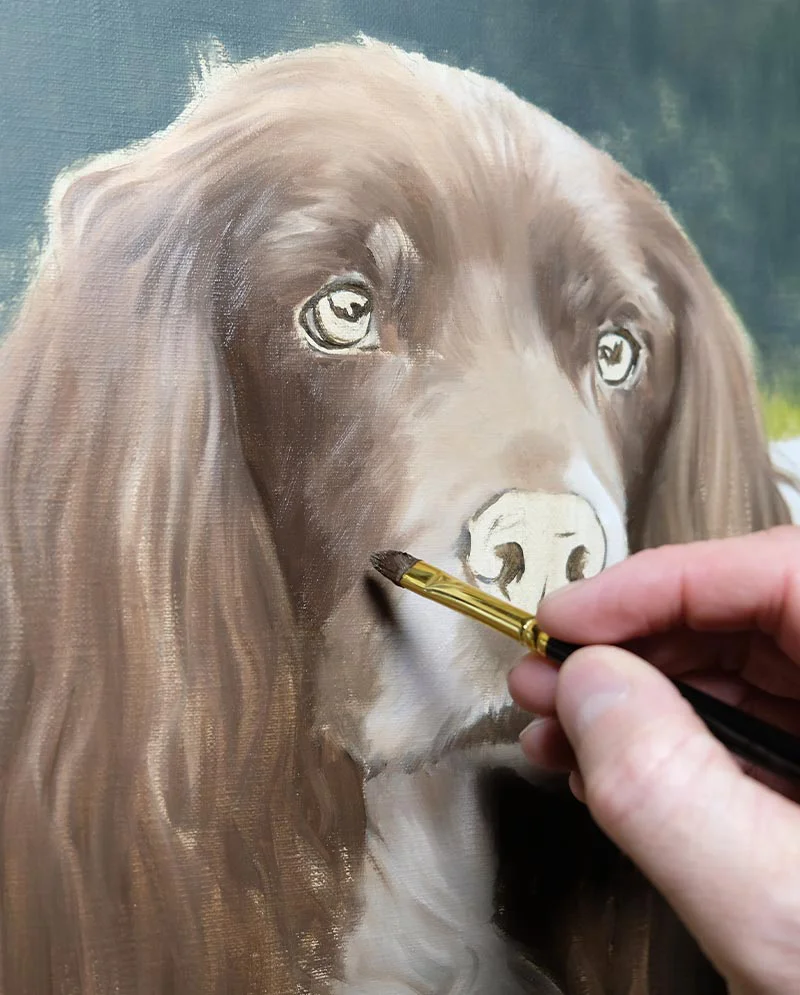 Building Layers – Spaniel Portrait, adding richness Artist building layers of paint on the Spaniel portrait for depth and texture