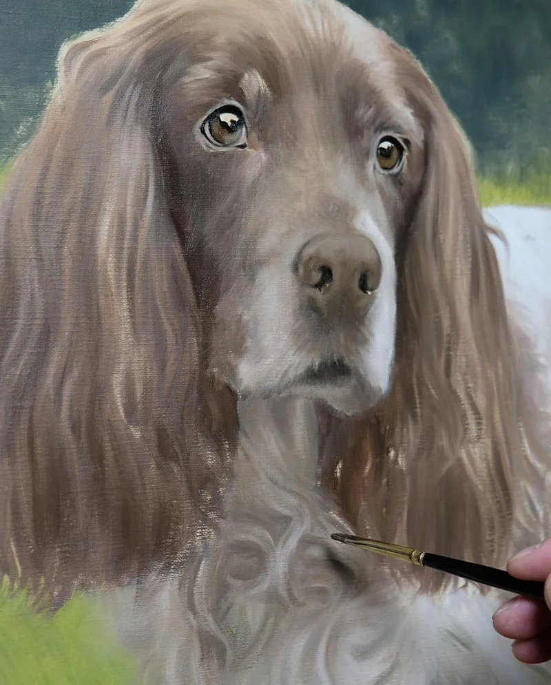 Developing Details – Spaniel Painting, refining the artwork Developing details on the Spaniel painting, focusing on fur and facial features