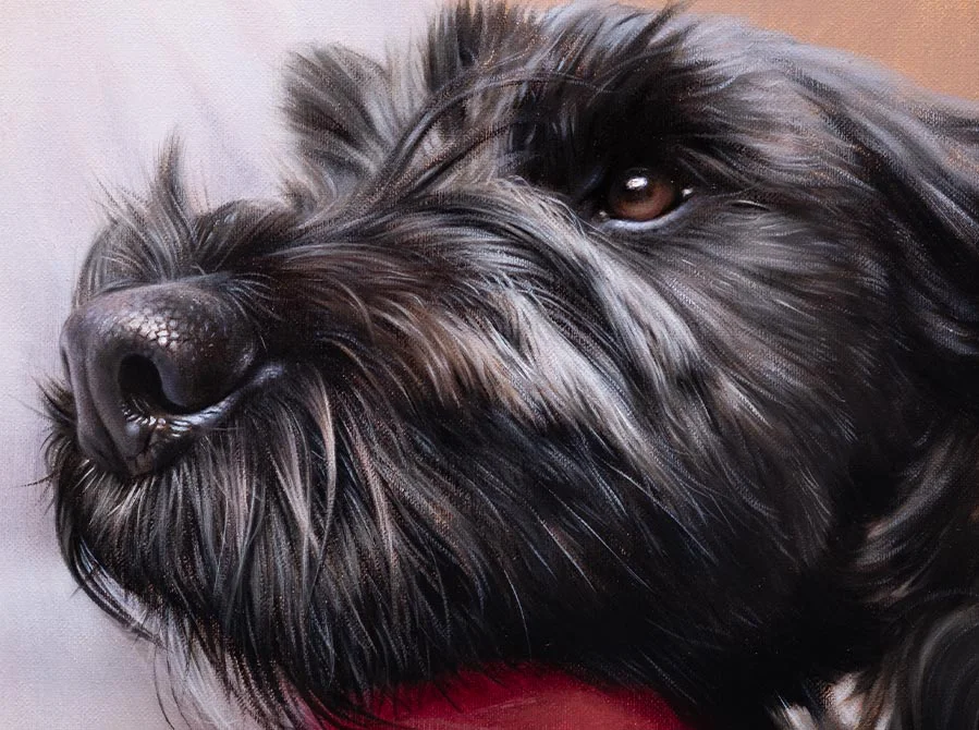 Nicholas Beall Painting Tibetan Terrier in Oils, artistic process Artist Nicholas Beall painting the Tibetan Terrier portrait in oils, a glimpse into the process