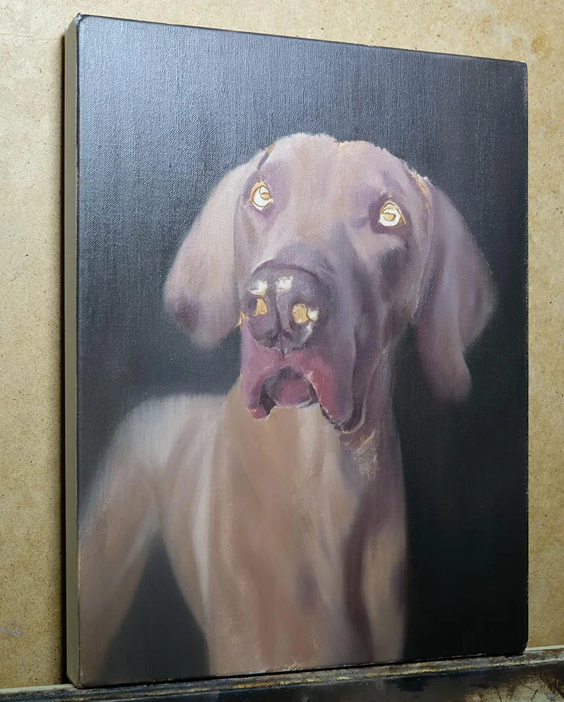 Initial Layers - Weimaraner Oil Painting Progress Initial layers of the Weimaraner oil painting, blocking in colors and form